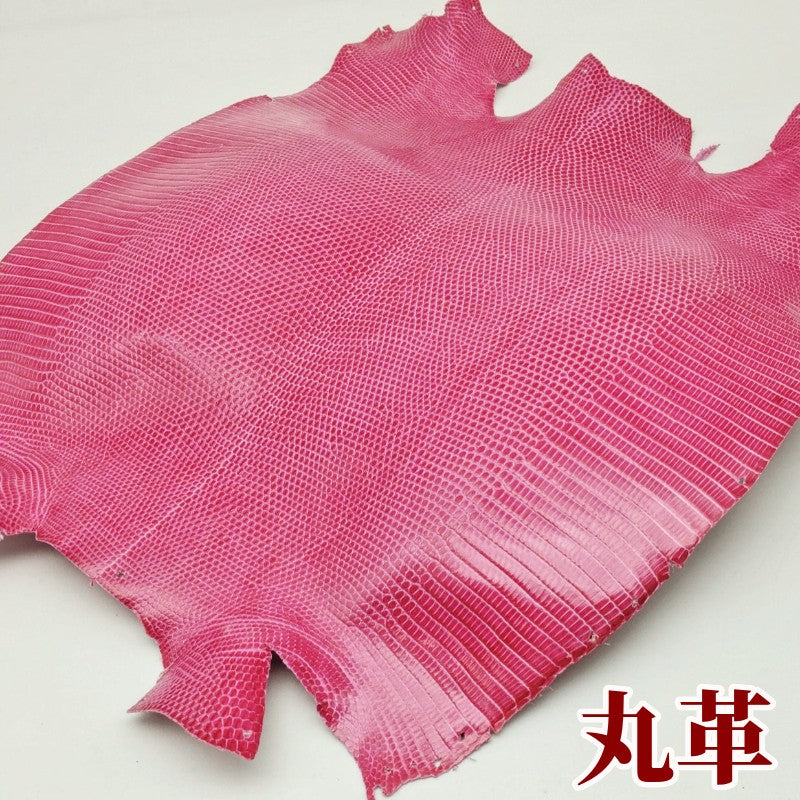 蜥蜴　革素材