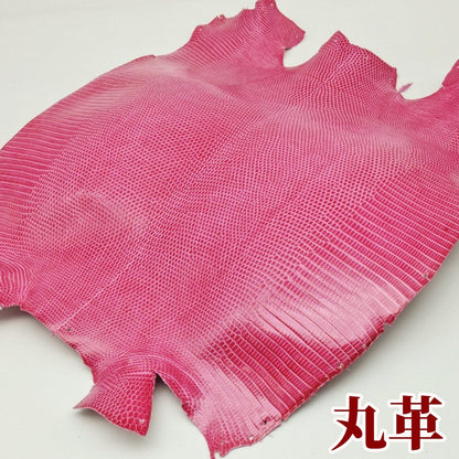 蜥蜴　革素材
