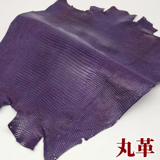 蜥蜴　革素材