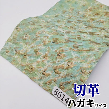 駝鳥　革素材