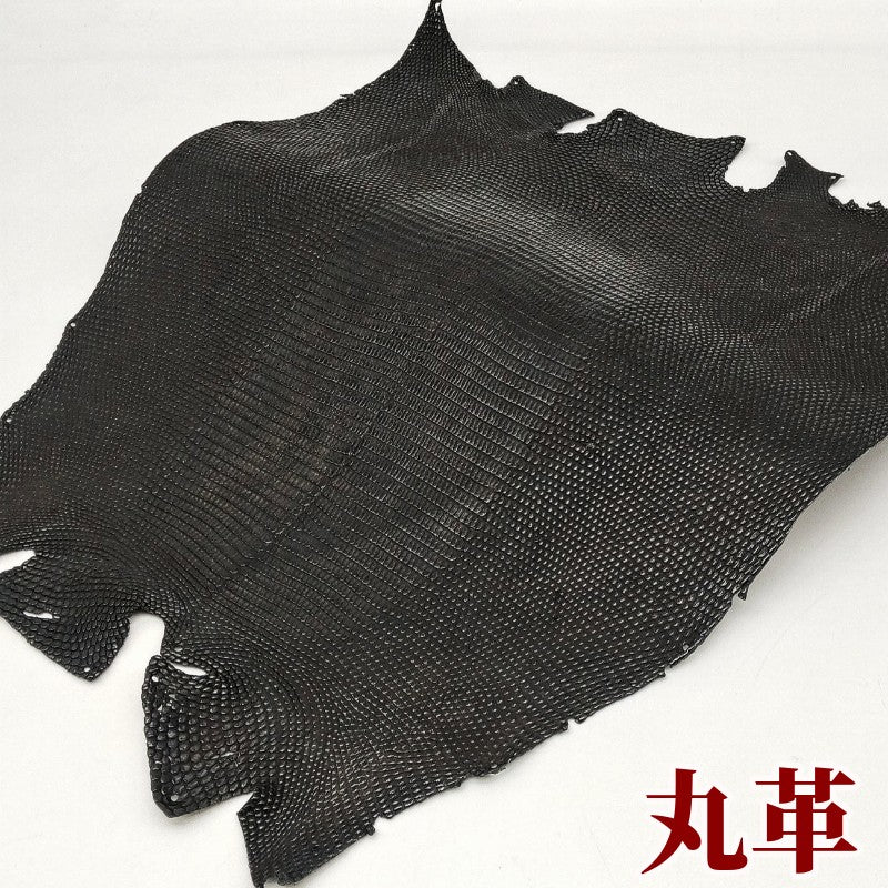 蜥蜴　革素材