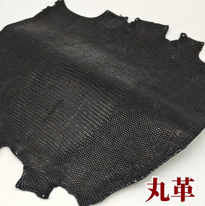 蜥蜴　革素材