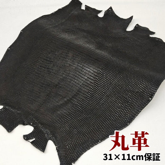 蜥蜴　革素材