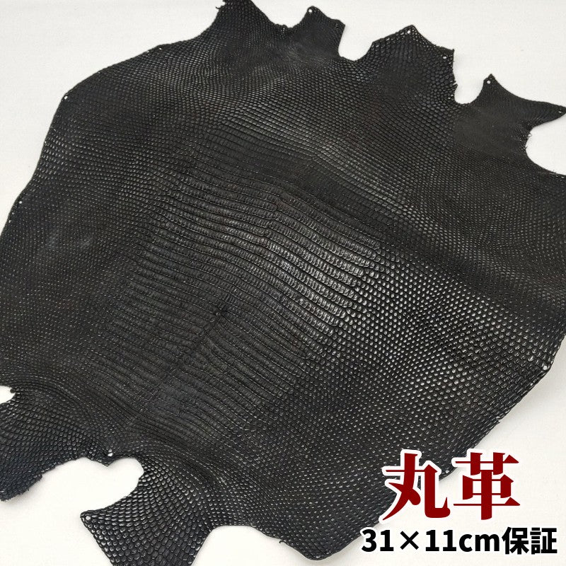 蜥蜴　革素材