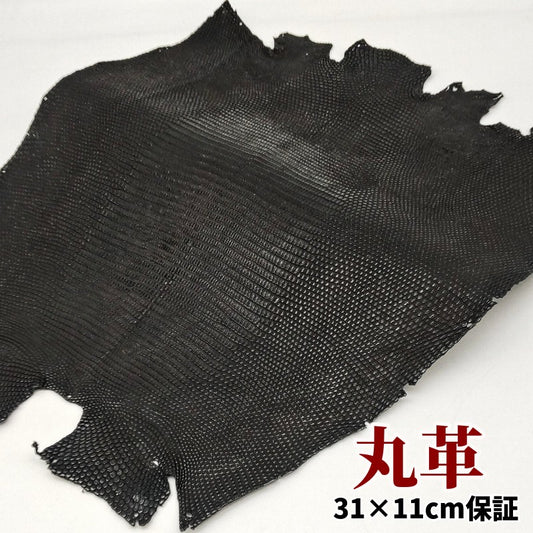 蜥蜴　革素材