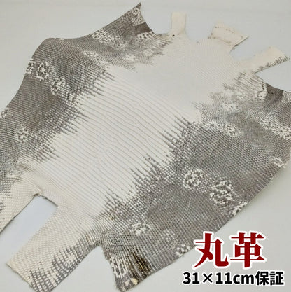 蜥蜴　革素材