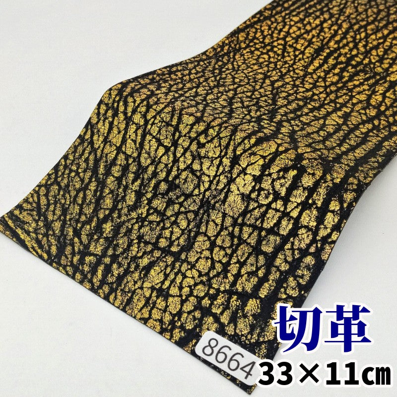 現物撮影のサメ革・鮫革・シャーク革・shark skins – レザーマニア東京通販