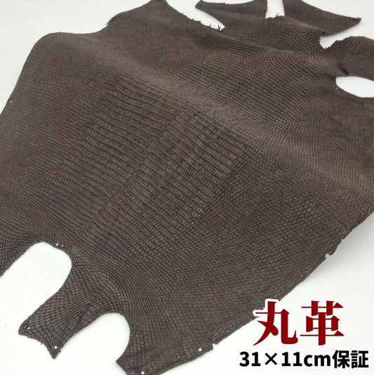 蜥蜴　革素材