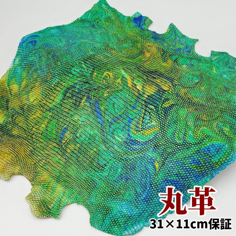 蜥蜴　革素材