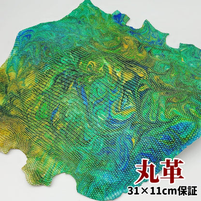 蜥蜴　革素材