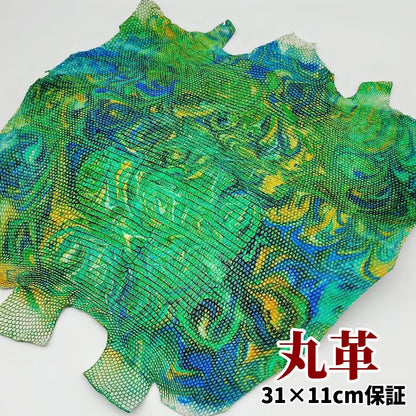 蜥蜴　革素材