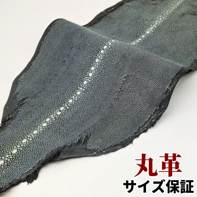 えい　革素材