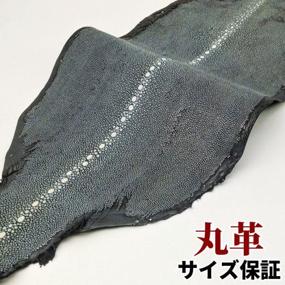 えい　革素材