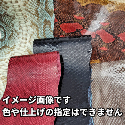 【福袋】水辺に棲むヘビ革5種類/送料無料/fb23h
