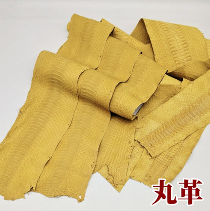 蛇　革素材