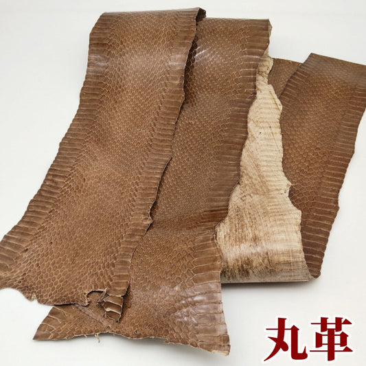 蛇　革素材