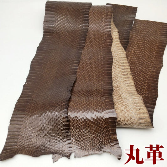 蛇革　素材