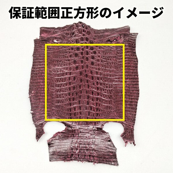 ジャクルシー丸革/品質保証【一匹】ワイン/j12