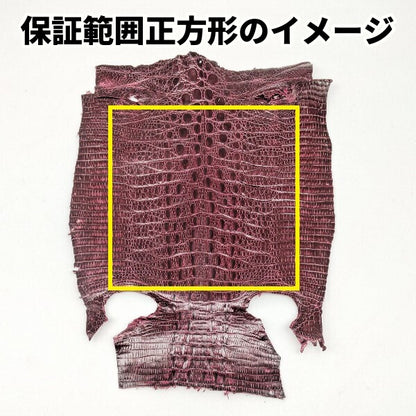 ジャクルシー丸革/品質保証【一匹】ワイン/j12