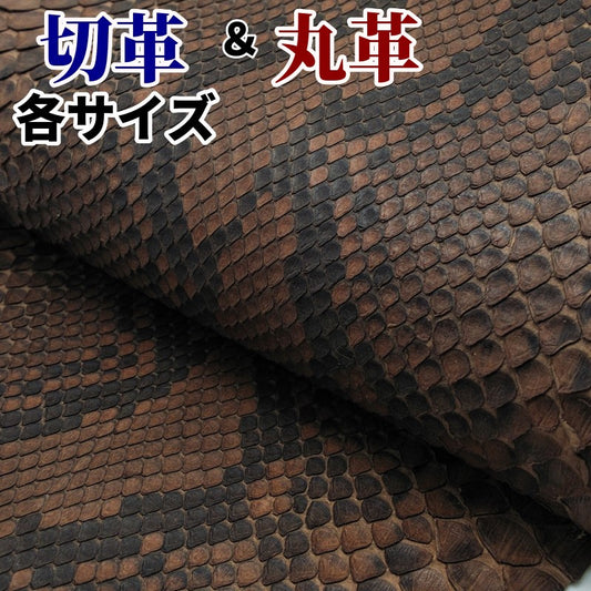 蛇　革素材