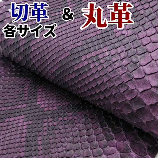 ヘビ切革/Dパイソン【各サイズ】 紫/腹割/マット/p165