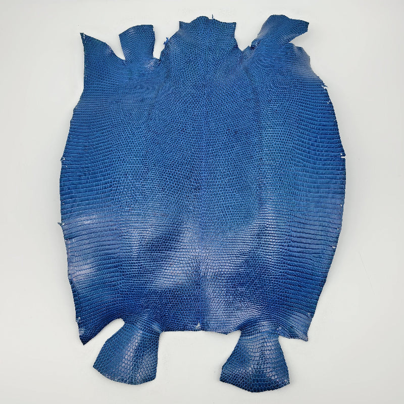 トカゲ革【最大幅28cm】ブルー/ツヤ強/腹割/8590