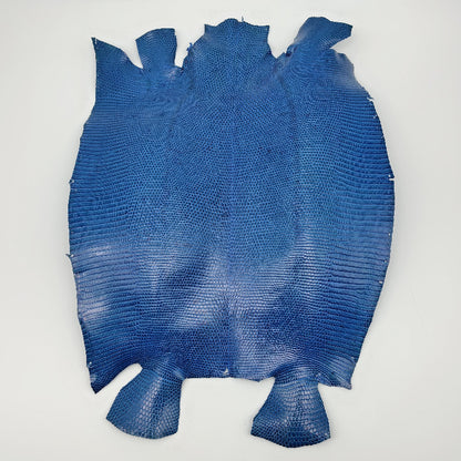 トカゲ革【最大幅28cm】ブルー/ツヤ強/腹割/8590