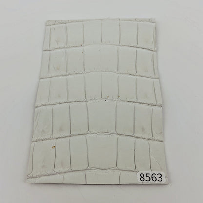 ワニ革/ナイルクロコ【ハガキ/1.5mm】染色用下地革/ハギレ付/Aランク/w8563