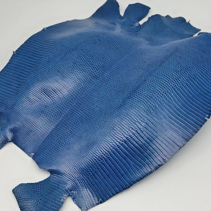 トカゲ革【最大幅28cm】ブルー/ツヤ強/腹割/8590