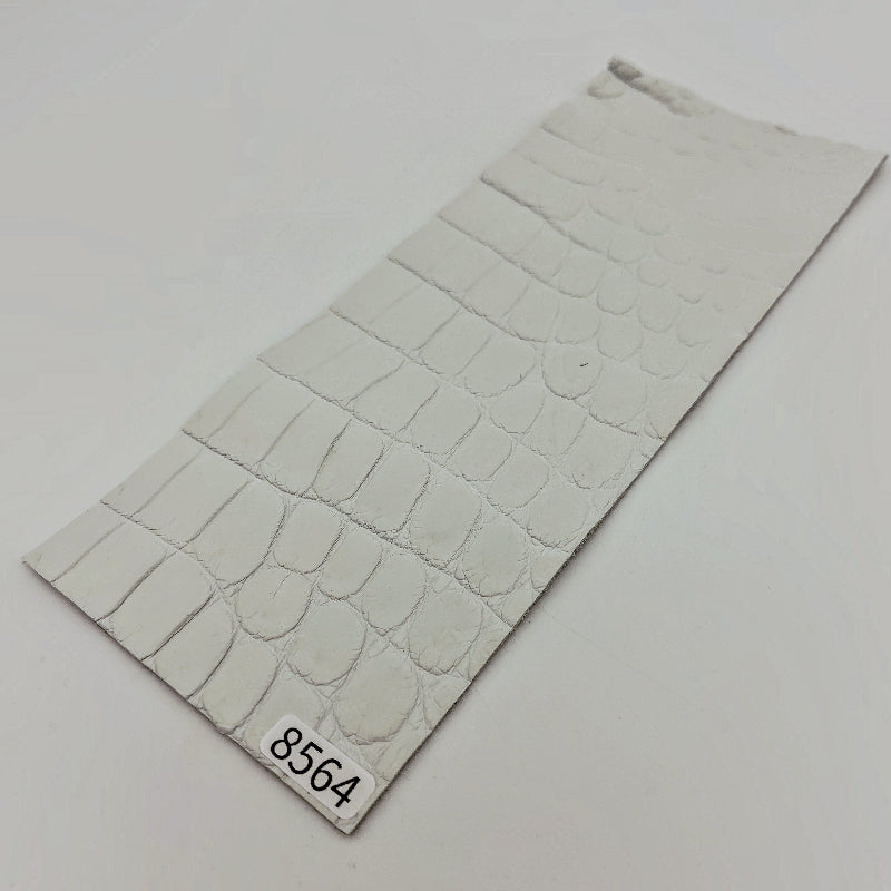 ワニ革/ナイルクロコ【8×21cm/1.5mm】染色用下地革/ハギレ付/Aランク/w8564
