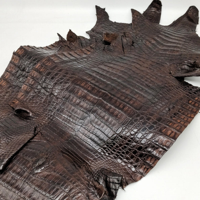 ワニ丸革/カイマン【品質保証21×21cm】ダークチョコ/半ツヤ/wc32-21