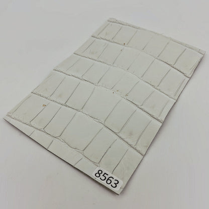 ワニ革/ナイルクロコ【ハガキ/1.5mm】染色用下地革/ハギレ付/Aランク/w8563