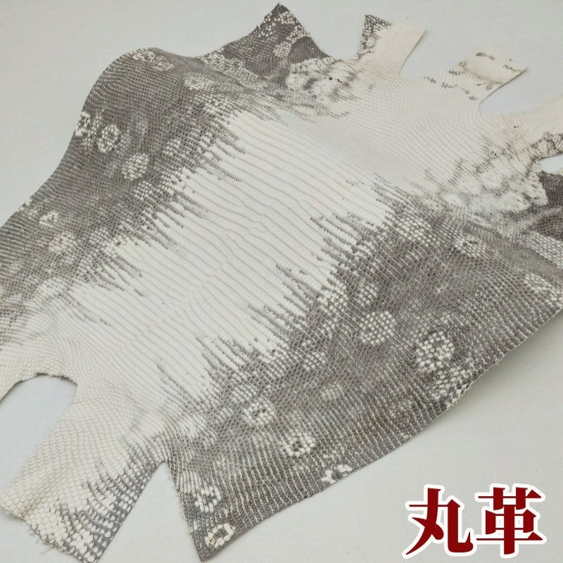 トカゲ革【最大幅29cm】ヒマラヤ仕上げ/マット/背割/6212