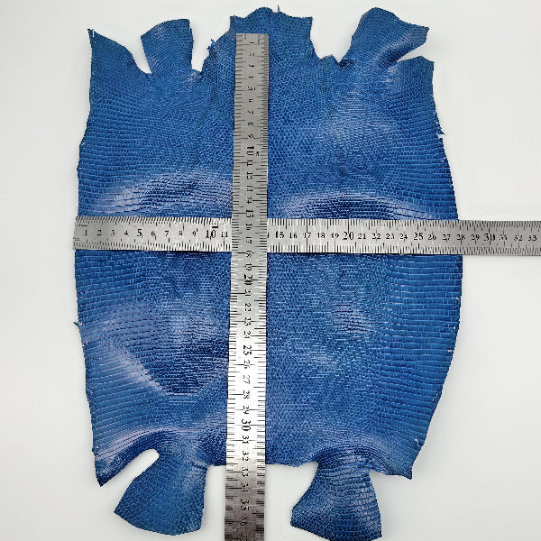 トカゲ革【最大幅28cm】ブルー/ツヤ強/腹割/8590