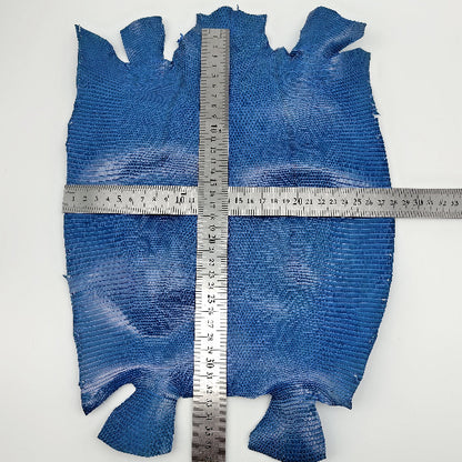 トカゲ革【最大幅28cm】ブルー/ツヤ強/腹割/8590
