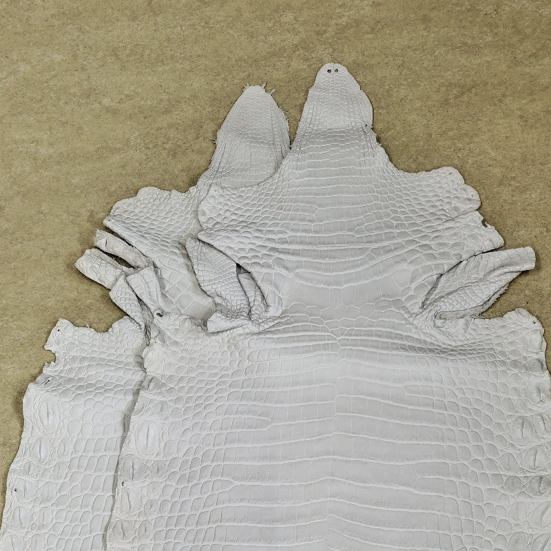 【福袋】ナイルクロコ丸革【一匹】オフホワイト/染色可能/w43