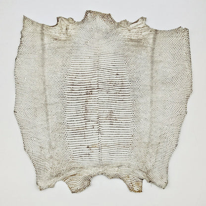 リザード黒桟革【最大幅32cm】白×生漆/ツヤ中/背割/8608hk