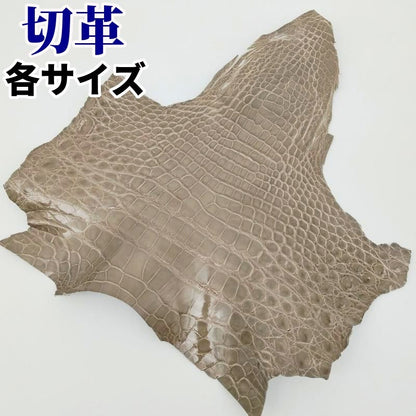 ワニ切革/クロコダイル/アゴ部分【サイズ保証】グレージュ/ツヤ強 / w887