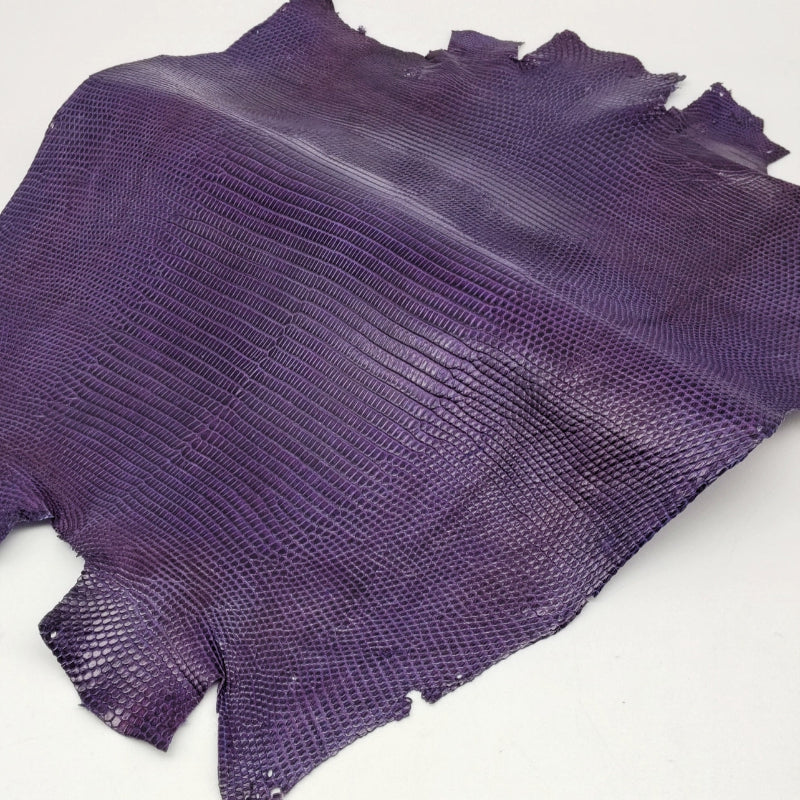 トカゲ革【最大幅30cm】パープル/ツヤ強/背割/8609