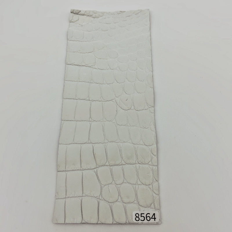 ワニ革/ナイルクロコ【8×21cm/1.5mm】染色用下地革/ハギレ付/Aランク/w8564