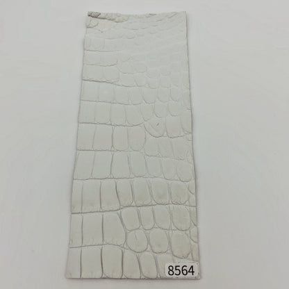 ワニ革/ナイルクロコ【8×21cm/1.5mm】染色用下地革/ハギレ付/Aランク/w8564
