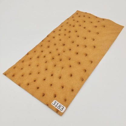 オーストリッチ革【11×21cm/0.6mm】マリーゴールド/特Sランク/d3183