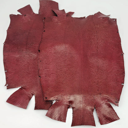 トカゲ革【最大幅25cm前後】ワインレッド/ツヤ強/腹割/t620