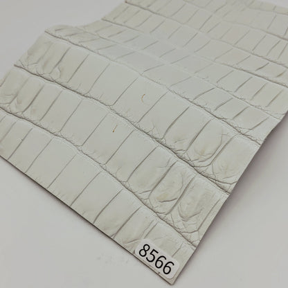 ワニ革/ナイルクロコ【A5/1.5mm】染色用下地革/ハギレ付/Aランク/w8566