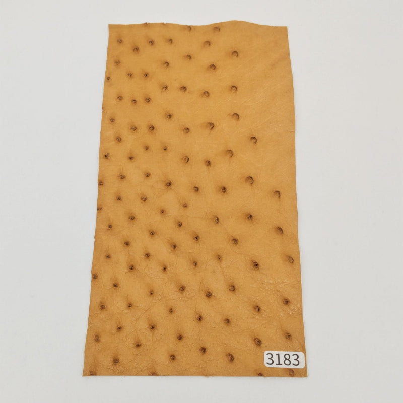 オーストリッチ革【11×21cm/0.6mm】マリーゴールド/特Sランク/d3183
