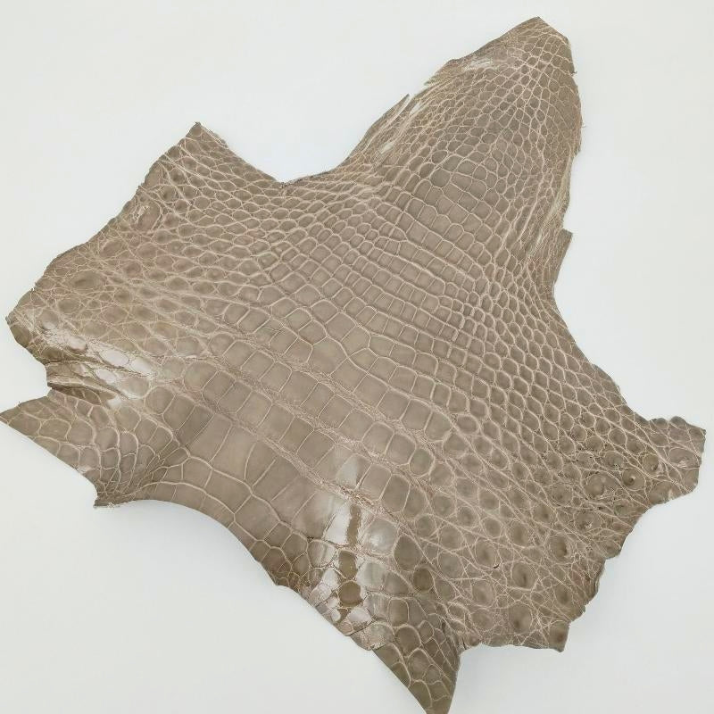 ワニ切革/クロコダイル/アゴ部分【サイズ保証】グレージュ/ツヤ強 / w887