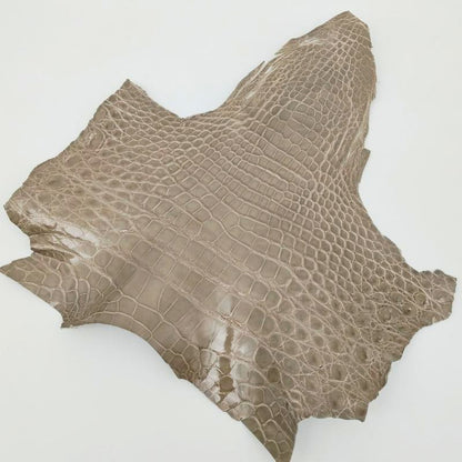 ワニ切革/クロコダイル/アゴ部分【サイズ保証】グレージュ/ツヤ強 / w887