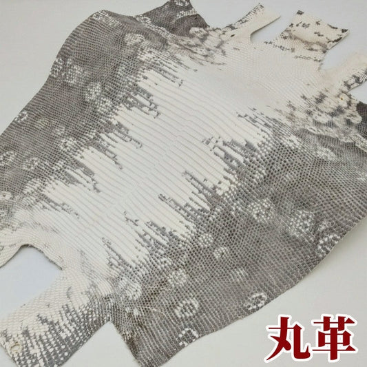 トカゲ革【最大幅31cm】ヒマラヤ仕上げ/マット/背割/6211