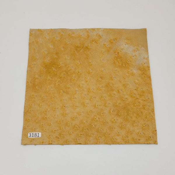 オーストリッチ革【21×21cm/0.6mm】マリーゴールド/特Sランク/d3181