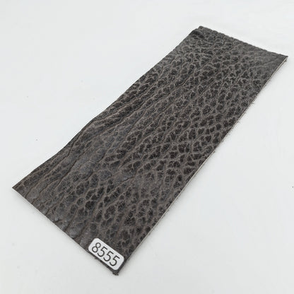 アザラシ革【8×21cm/2.9mm】グレー/ツヤ中/Aランク/a8555